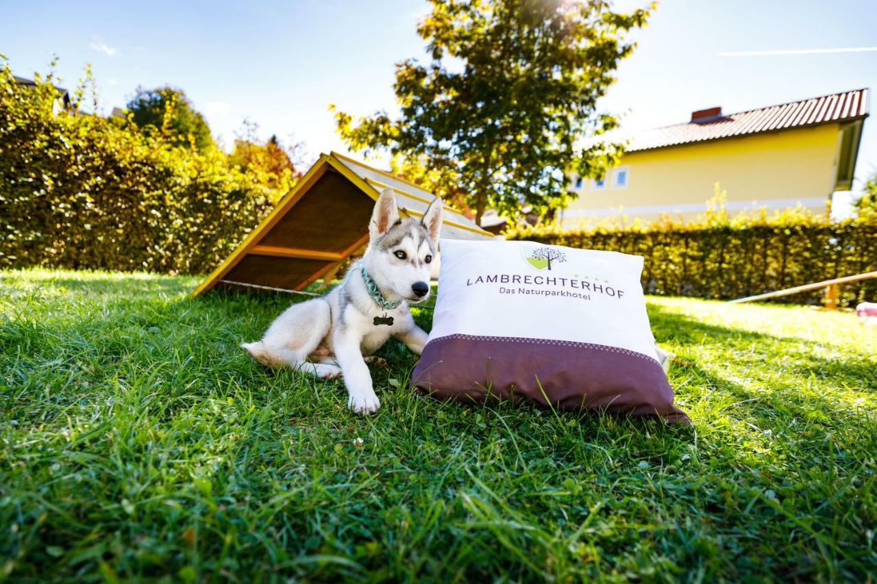 Lambrechterhof - Das Naturparkhotel Sankt Lambrecht Kültér fotó